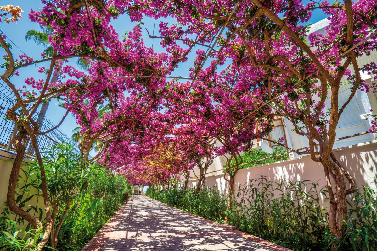 Hotel Alaiye Resort & Spa, Türkei, Südtürkei, Avsallar-Incekum, Bild 13