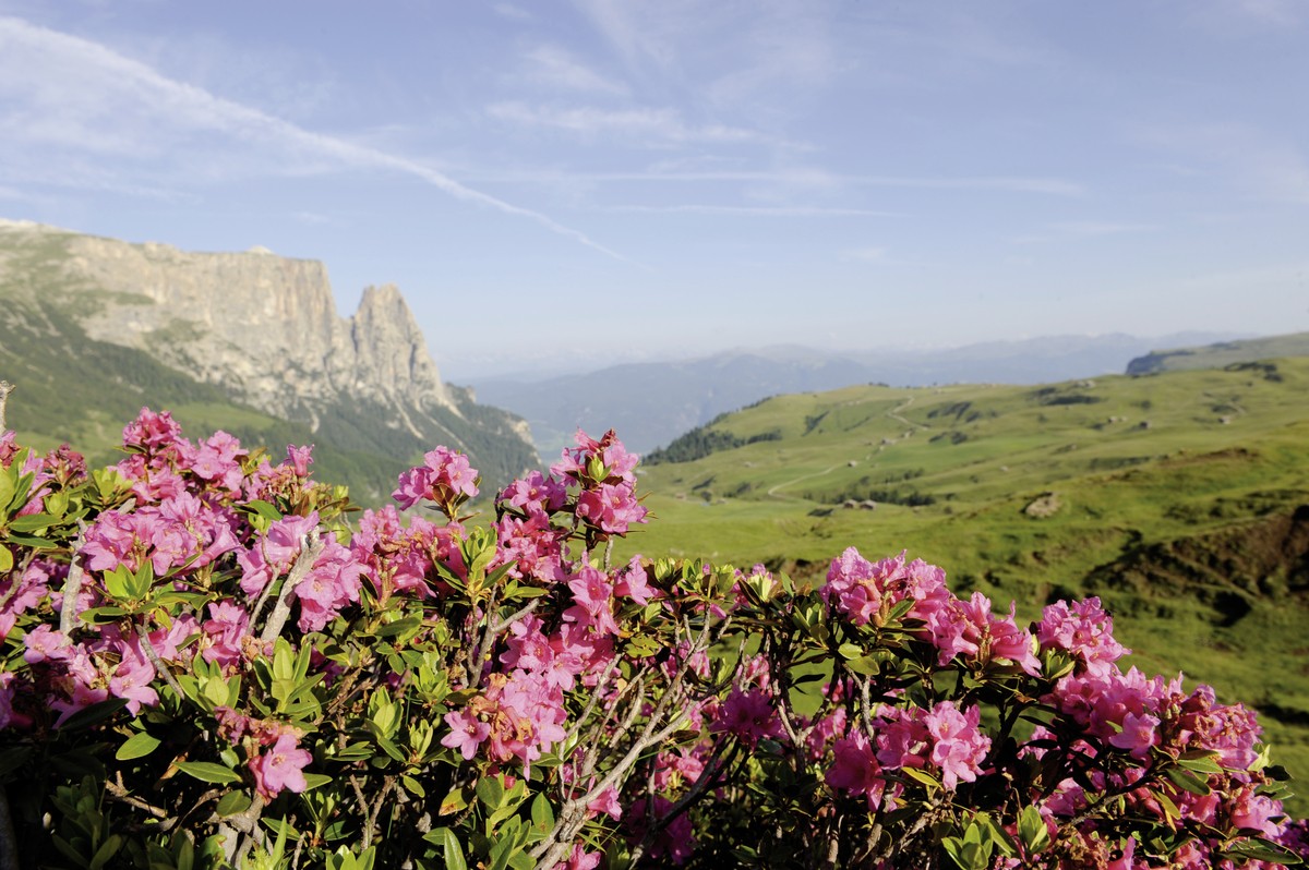 Hotel Steger Dellai, Italien, Südtirol, Seiser Alm, Bild 5