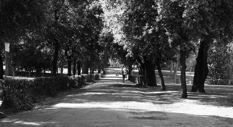 Hotel Priscilla, Italien, Rom, Bild 12