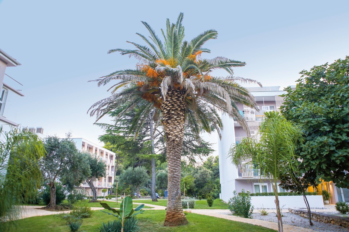 Hotel Aminess Port9 Residence, Kroatien, Südadriatische Inseln, Korcula, Bild 17