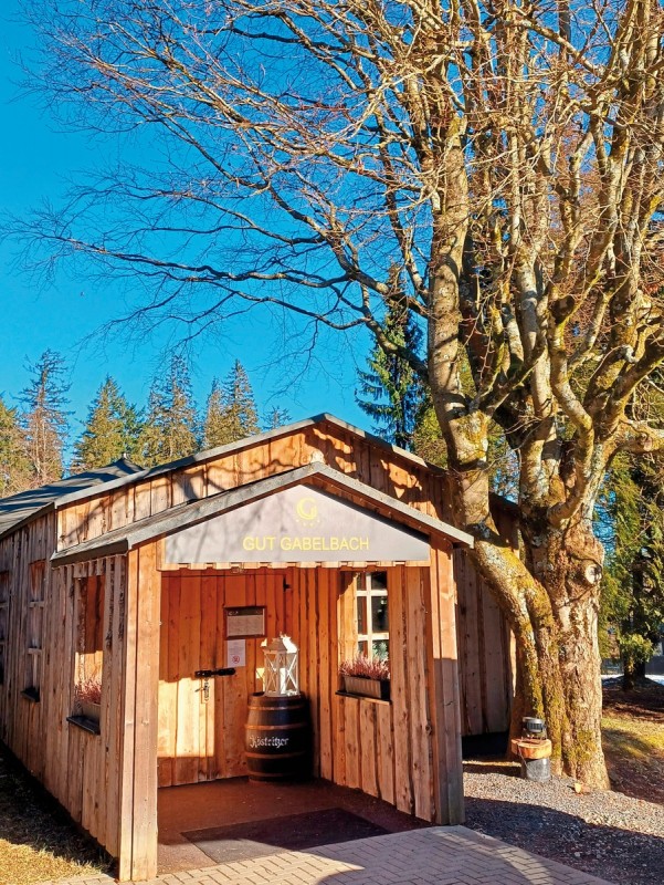 Berg & Spa Hotel Gabelbach, Deutschland, Thüringer Wald, Ilmenau, Bild 13