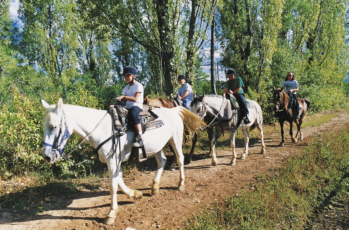 Hotel Camping Norcenni Girasole (by Human Travel), Italien, Florenz, Figline Valdarno, Bild 22