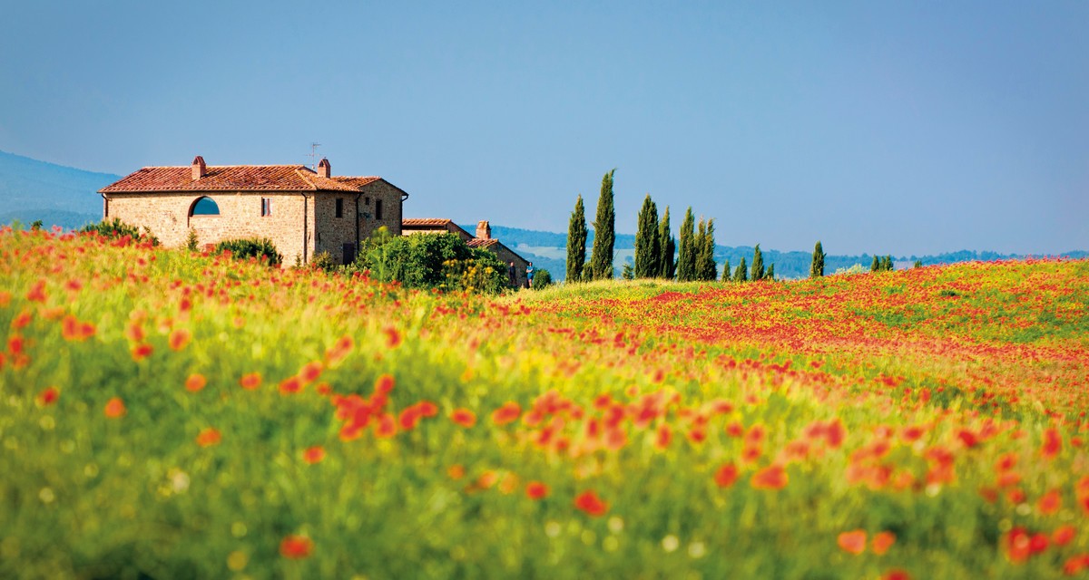 Hotel Camping Norcenni Girasole (by Human Travel), Italien, Florenz, Figline Valdarno, Bild 34