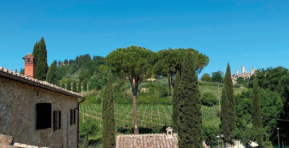Hotel Tenuta Sovestro, Italien, Florenz, San Gimignano, Bild 3