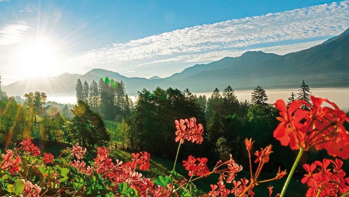 Hotel Glocknerhof, Österreich, Kärnten, Berg im Drautal, Bild 15