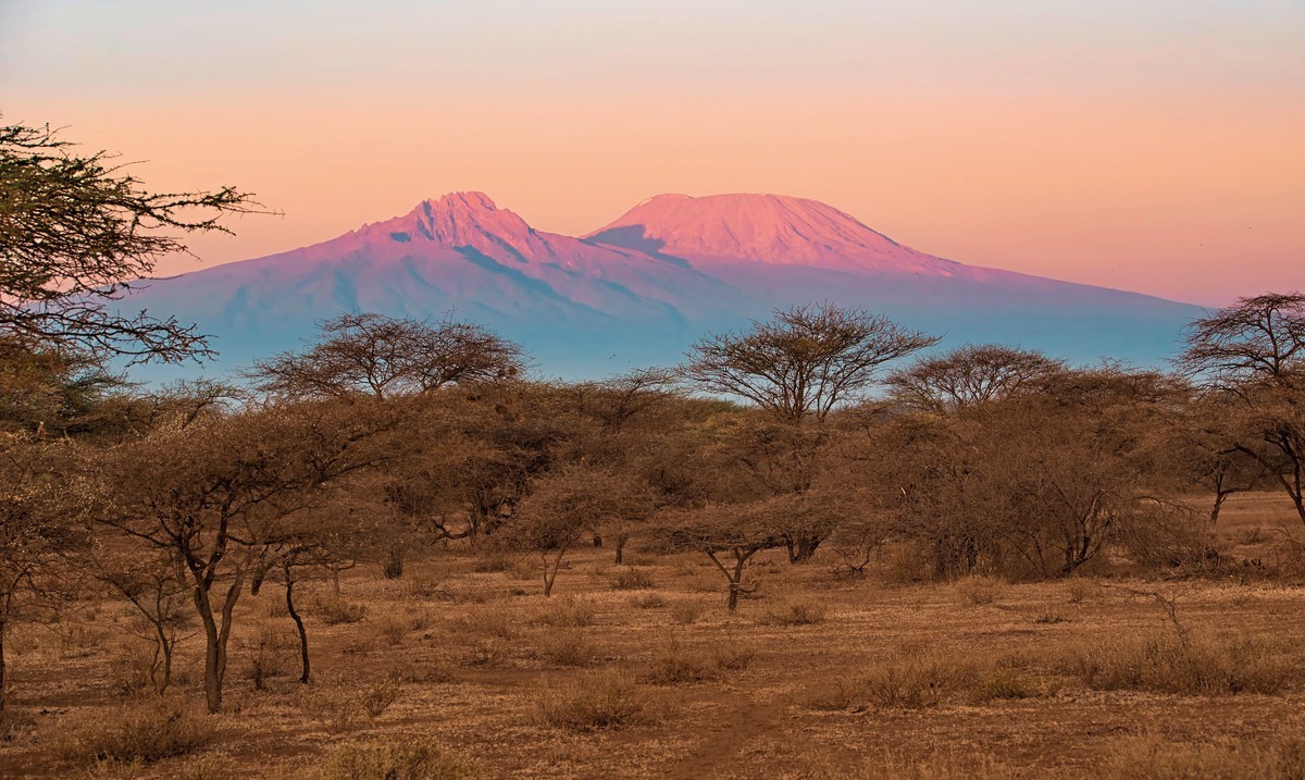 Rundreise Safari Tsavo und Amboseli, Kenia, Mombasa, Tsavo & Abmoseli, Bild 1