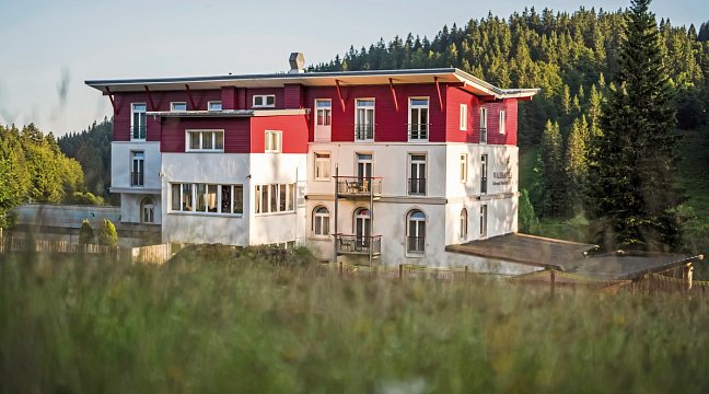 Hotel Waldhotel am Notschreipass, Deutschland, Schwarzwald, Oberried (Breisgau)