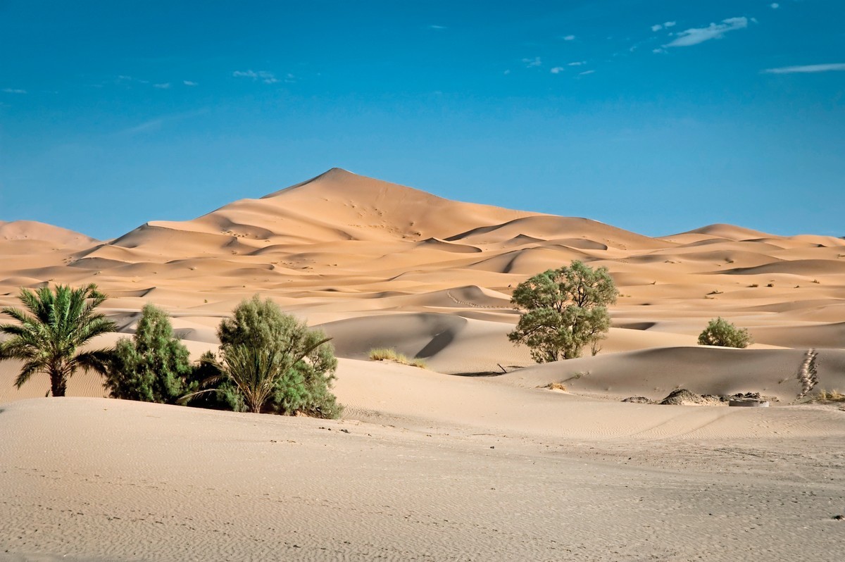 Rundreise Schätze des Morgenlandes, Marokko, Marrakesch, Bild 16