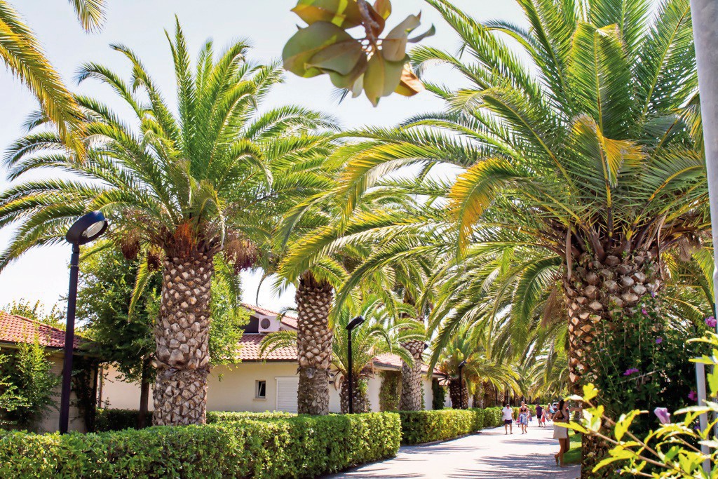 Hotel Camping Villaggio Turistico Lido d'Abruzzo, Italien, Adria, Roseto degli Abruzzi, Bild 5