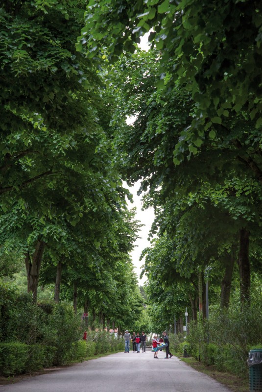 Hotel Camping San Francesco (by Albatross), Italien, Adria, Duna Verde, Bild 4