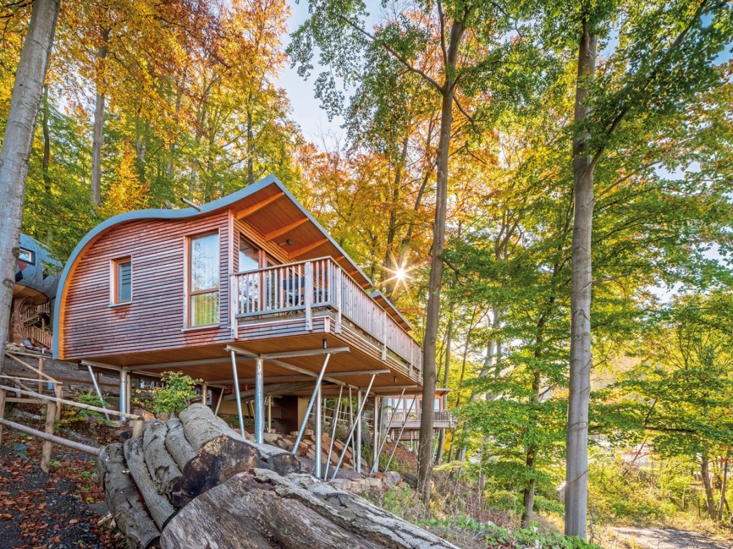 Hotel Sonnenresort ETTERSHAUS, Deutschland, Harz, Bad Harzburg, Bild 6