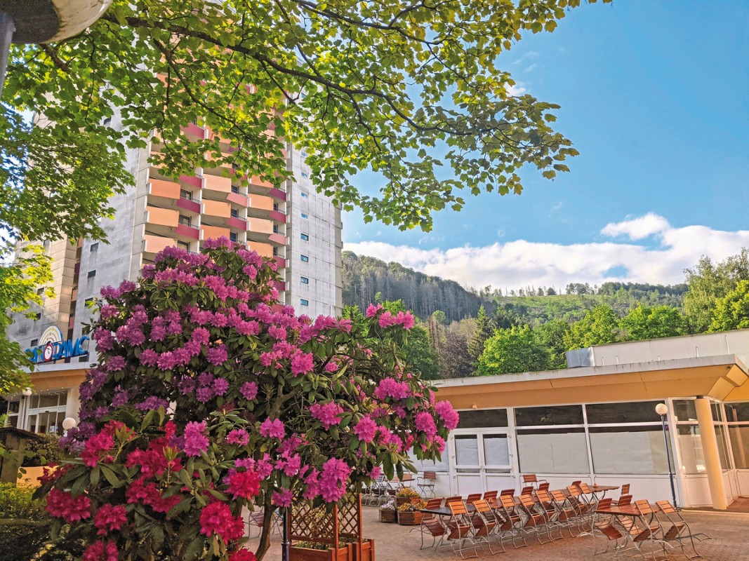Panoramic Hotel - Ihr Apartmenthotel, Deutschland, Harz, Bad Lauterberg im Harz, Bild 1