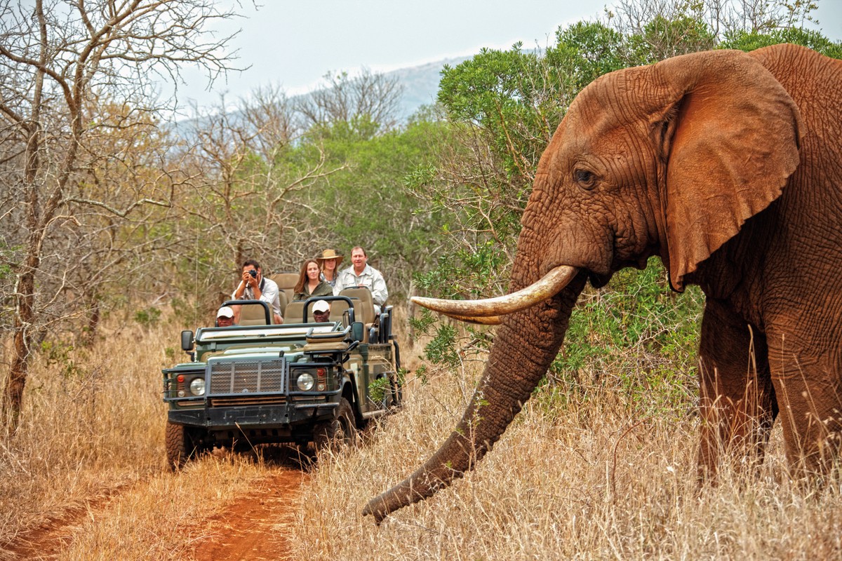 Rundreise Südafrika, Südafrika, Kapstadt, Johannesburg, Bild 4