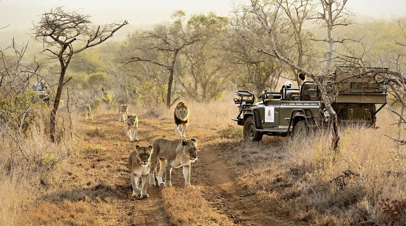 Rundreise Südafrika, Südafrika, Kapstadt, Johannesburg, Bild 5