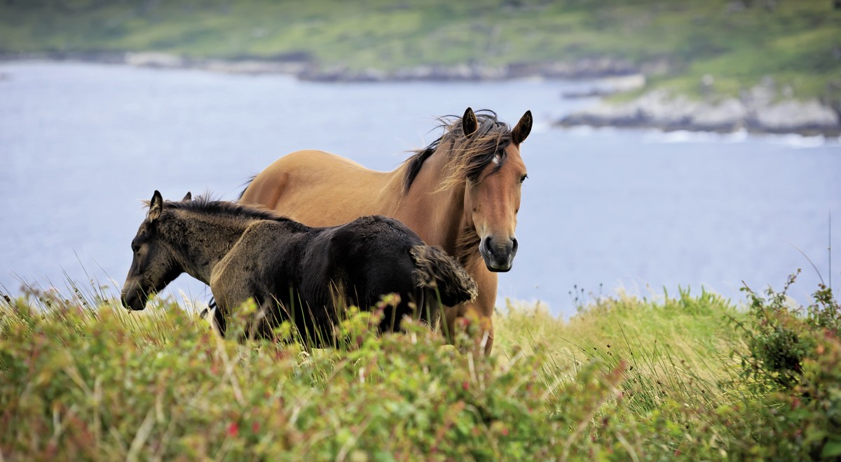 Rundreise Irland, Irland, Dublin, Bild 9