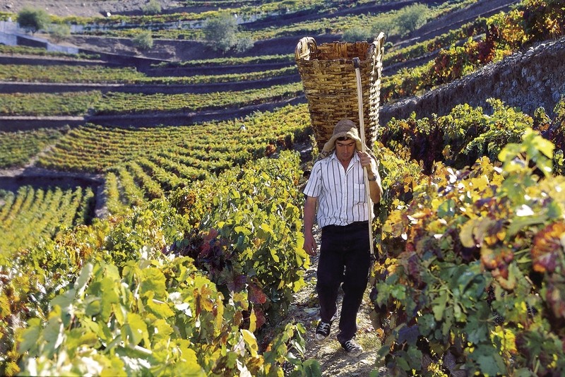 Rundreise Portugal & Galicien, Portugal, Nordportugal, Porto, Bild 10