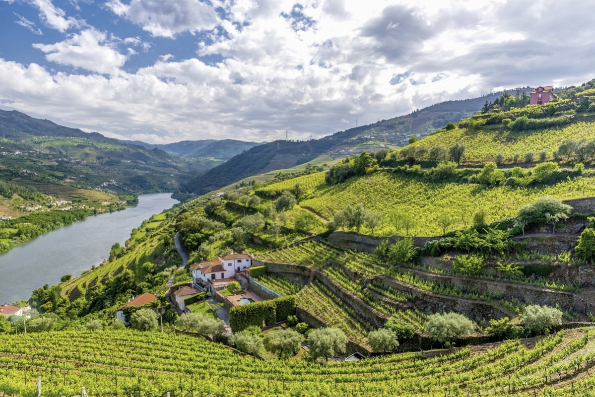 Rundreise Portugal & Galicien, Portugal, Nordportugal, Porto, Bild 4