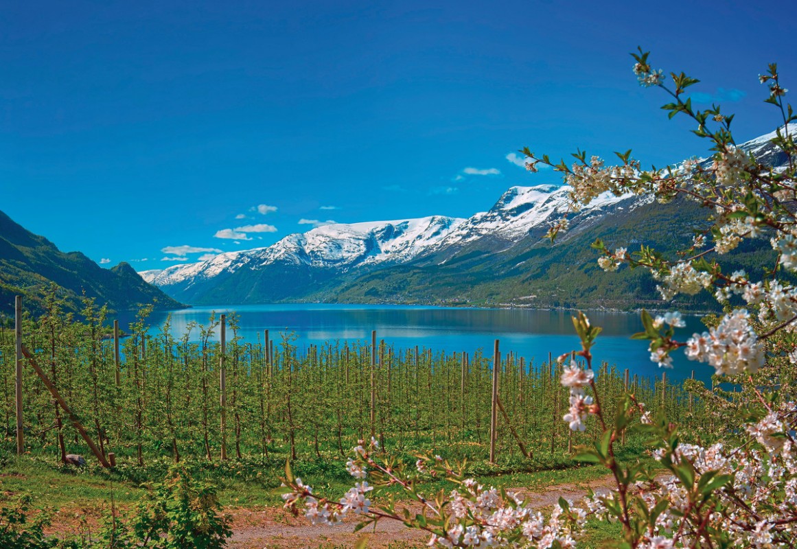 Rundreise Norwegen, Norwegen, Oslofjord, Oslo, Bild 2