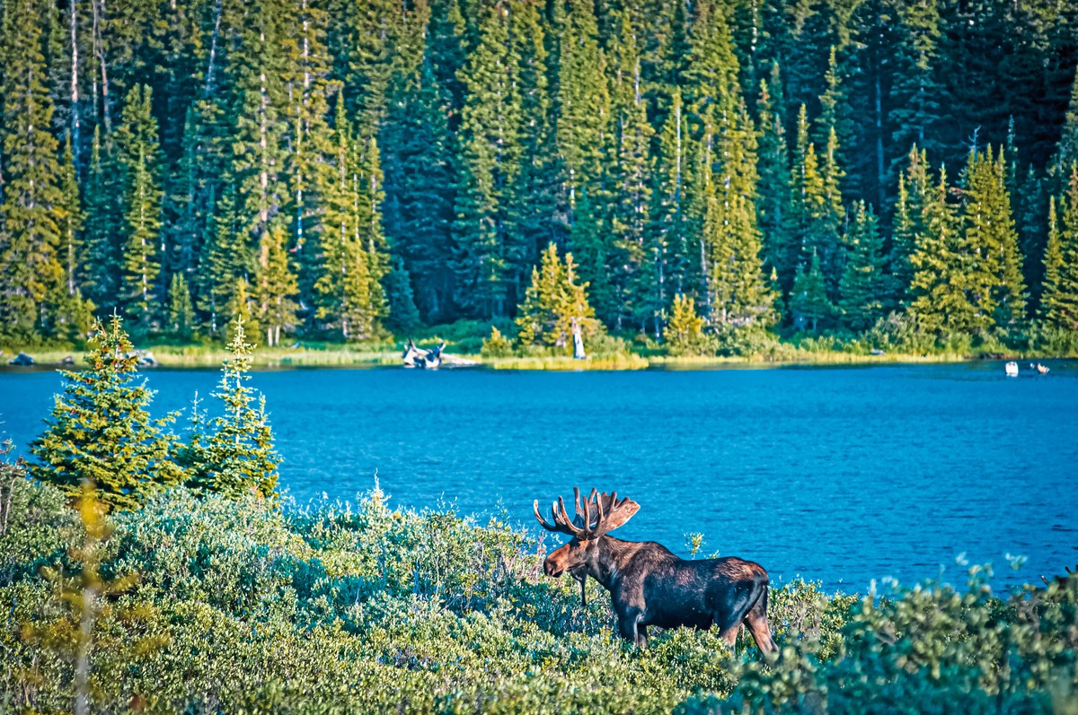 Rundreise Schweden & Finnland, Schweden, Stockholm, Bild 6