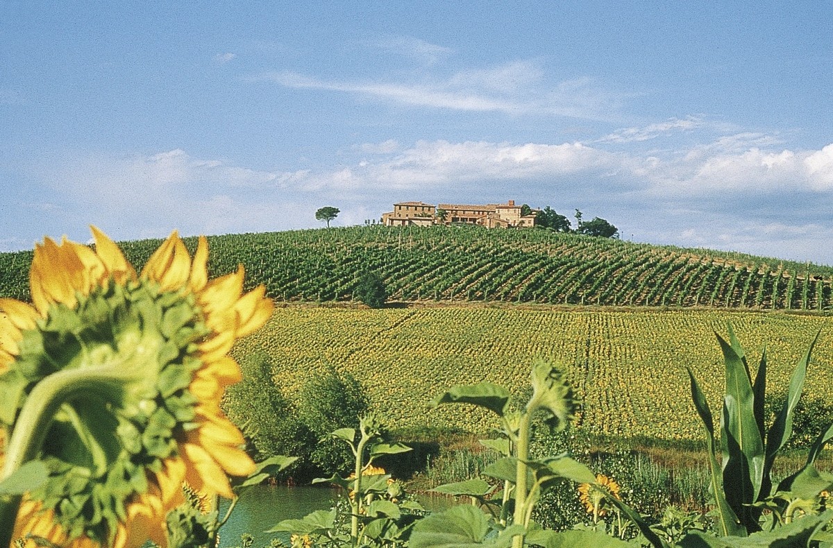 Hotel Borgo Tre Rose, Italien, Florenz, Valiano di Montepulciano, Bild 9