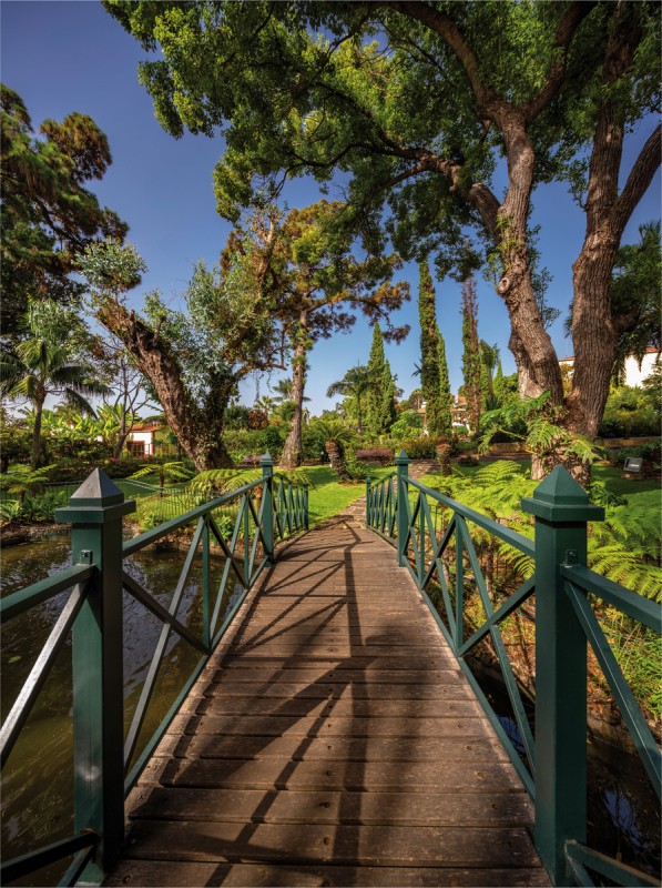 Hotel Quinta Jardins do Lago, Portugal, Madeira, Funchal, Bild 28