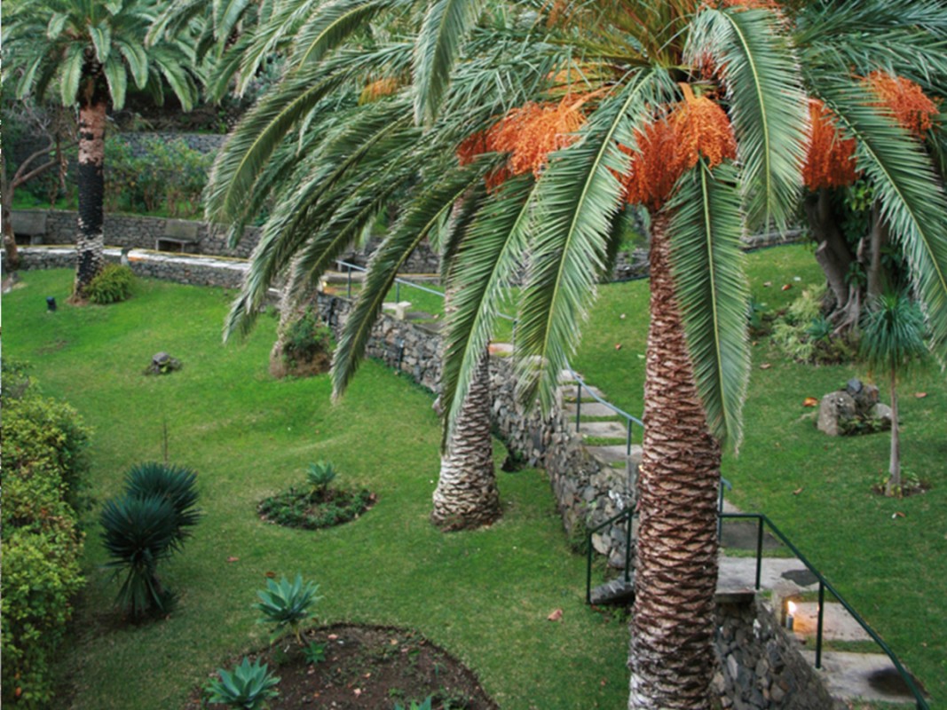 Hotel Dom Pedro Madeira, Portugal, Madeira, Machico, Bild 18