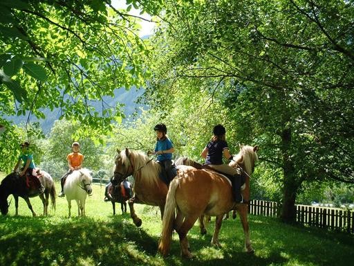 Hotel Camping Bella Austria (by Happy Camp), Österreich, Steiermark, St. Peter am Kammersberg, Bild 1