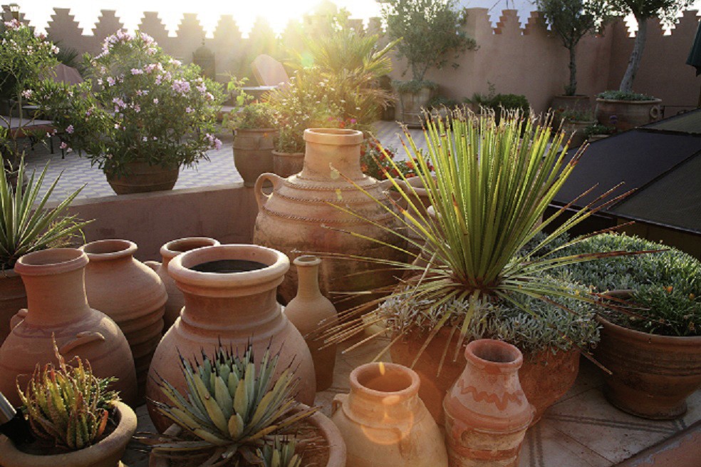 Hotel Riad Ifoulki, Marokko, Marrakesch, Bild 14