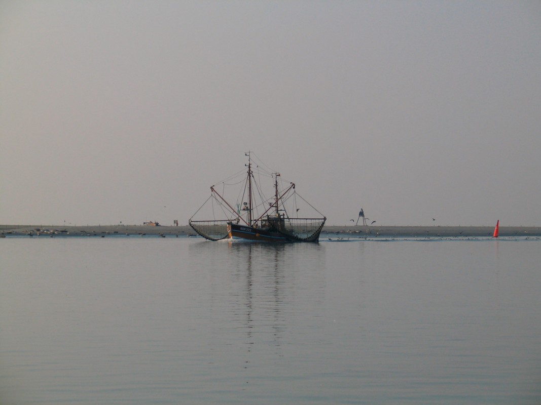 Hotel Seehof, Deutschland, Nordseeinseln, Insel Baltrum, Bild 8