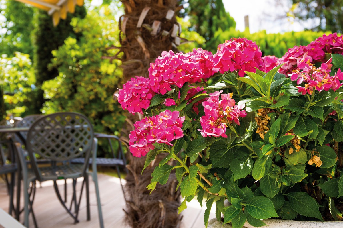 Hotel Villa Laurus, Italien, Südtirol, Meran, Bild 7