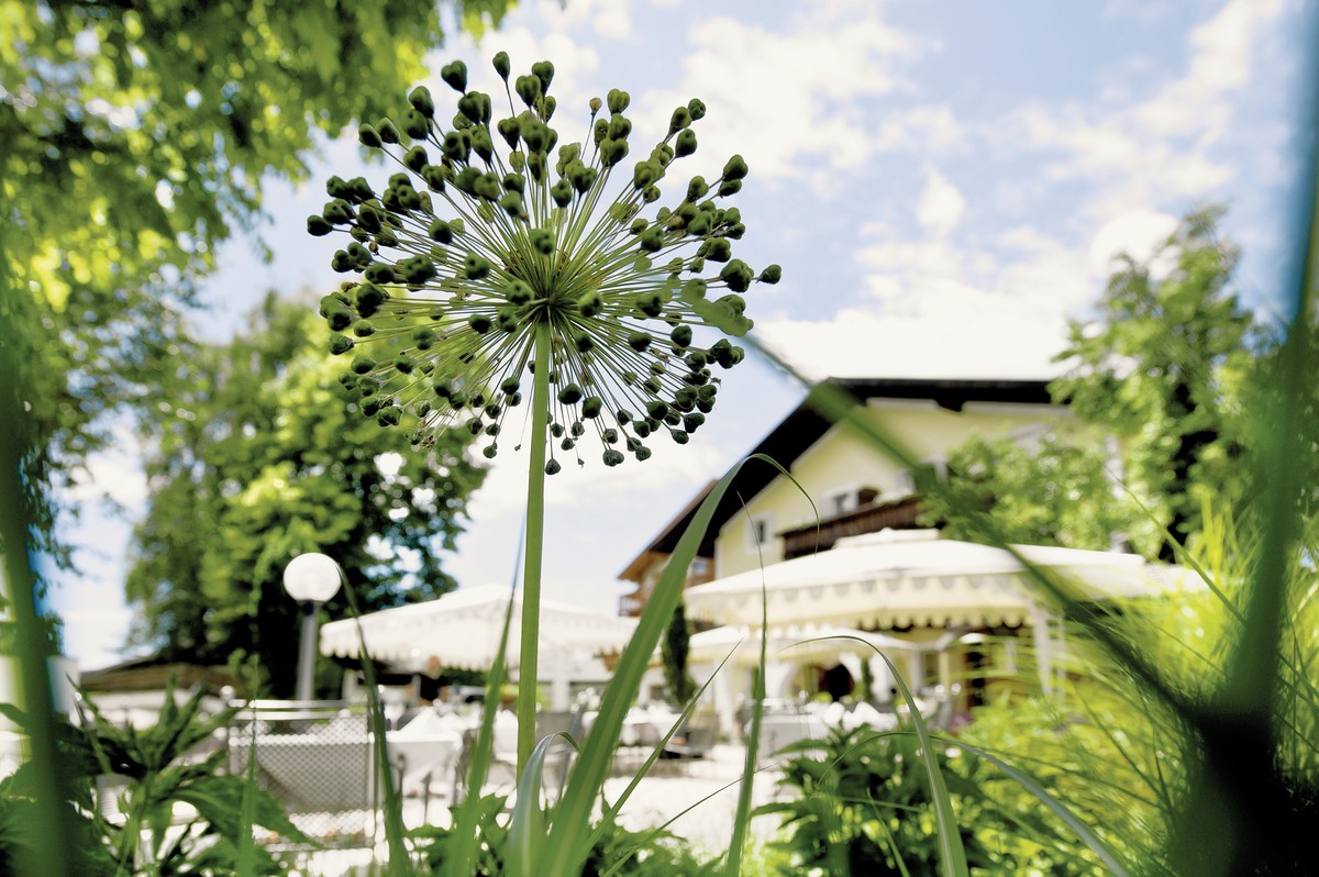 Hotel Gartenhotel Völser Hof - adults only, Italien, Südtirol, Völs am Schlern, Bild 6