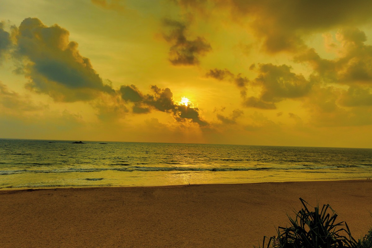 Hotel Thaala Bentota Resort, Sri Lanka, Bentota, Bild 3