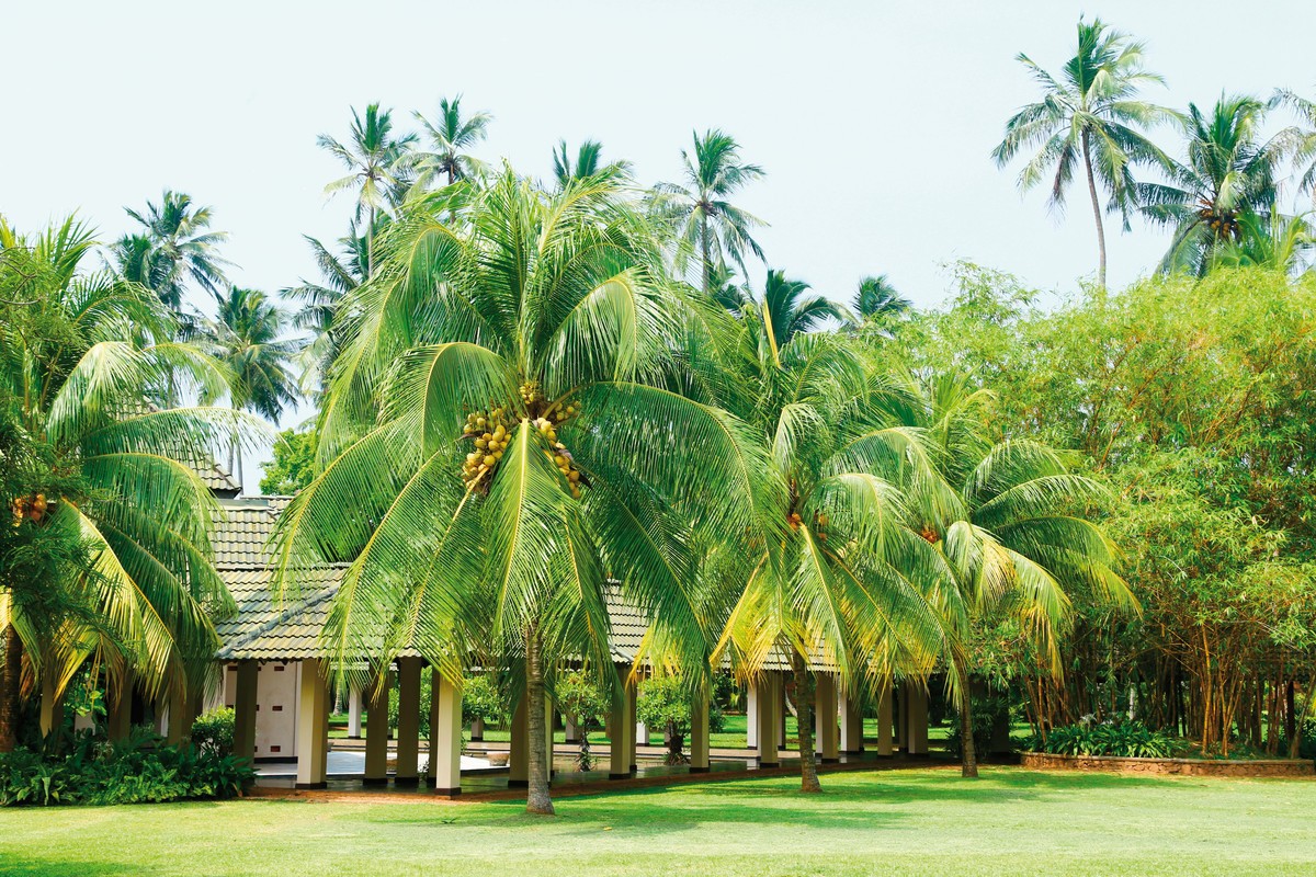 The Palms Hotel, Sri Lanka, Beruwela, Bild 9