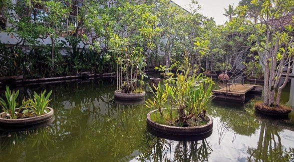Tangerine Beach Hotel, Sri Lanka, Kalutara, Bild 11