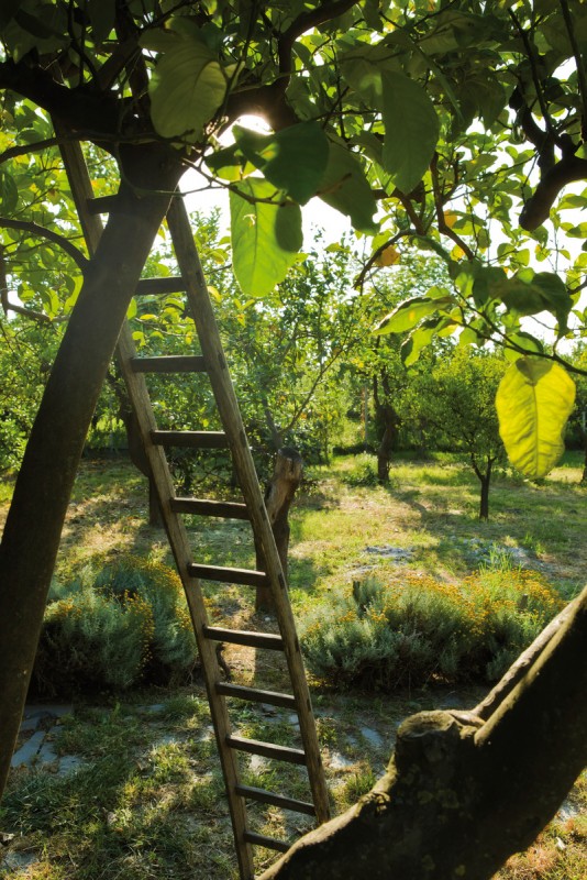 Hotel Agriturismo Terrenia, Italien, Sizilien, Taormina, Bild 15