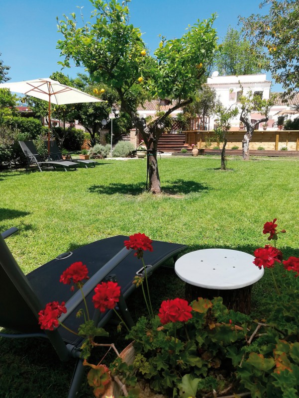 Hotel Agriturismo Terrenia, Italien, Sizilien, Taormina, Bild 17