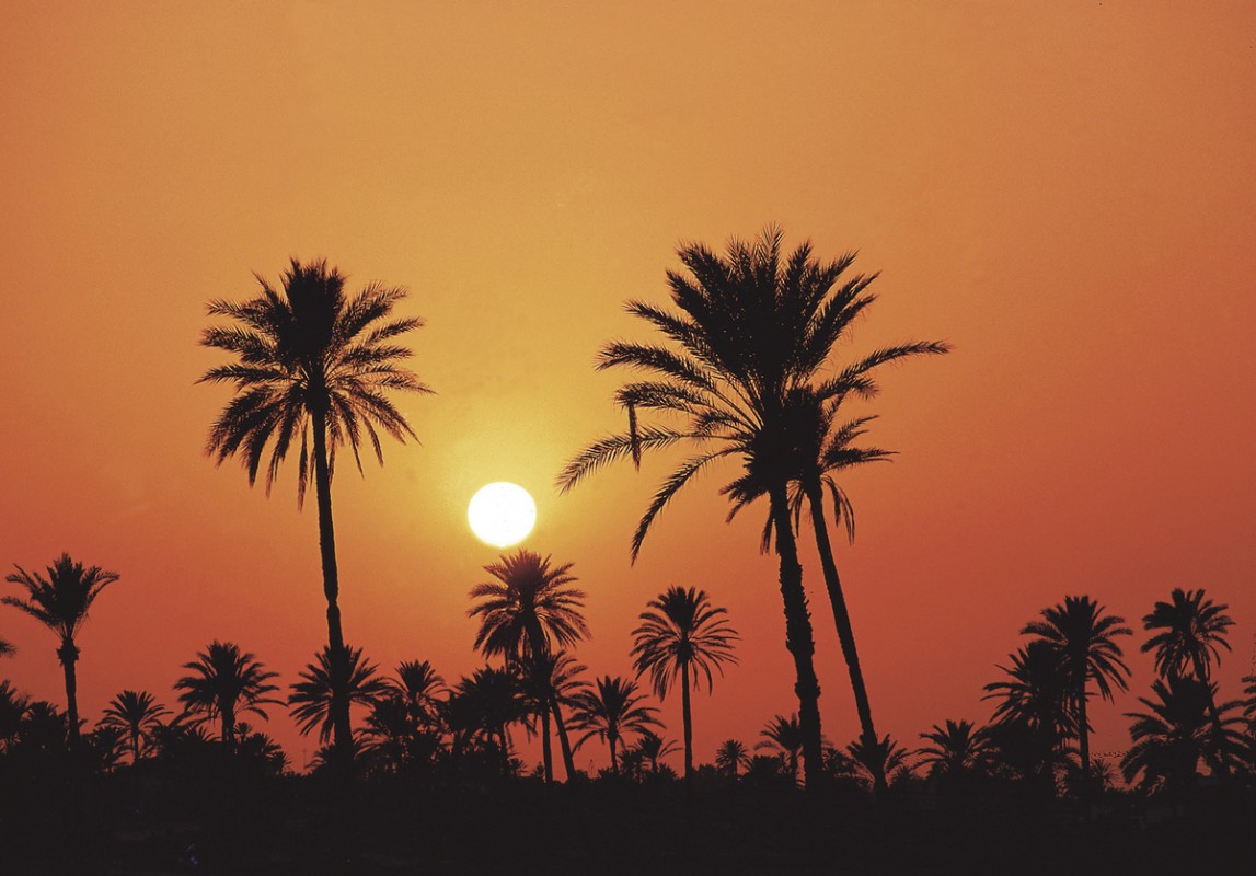 Hotel Seabel Aladin, Tunesien, Djerba, Aghir, Bild 25