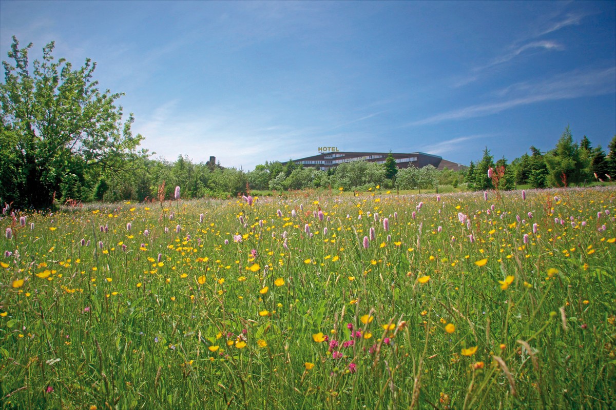 Hotel Lugsteinhof, Deutschland, Sächsische Schweiz & Erzgebirge, Altenberg, Bild 6