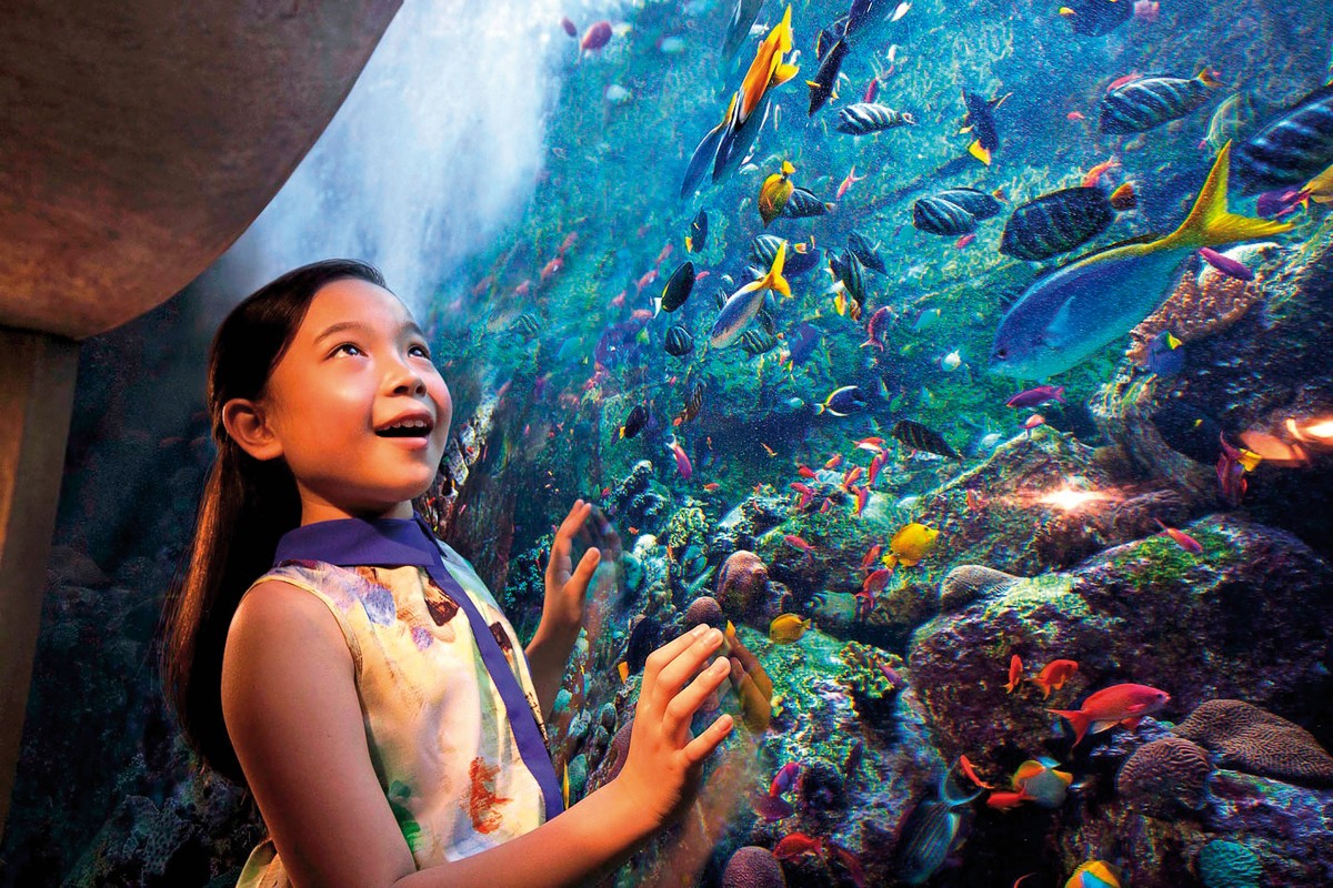 Hotel Atlantis, The Palm, Vereinigte Arabische Emirate, Dubai, Bild 53