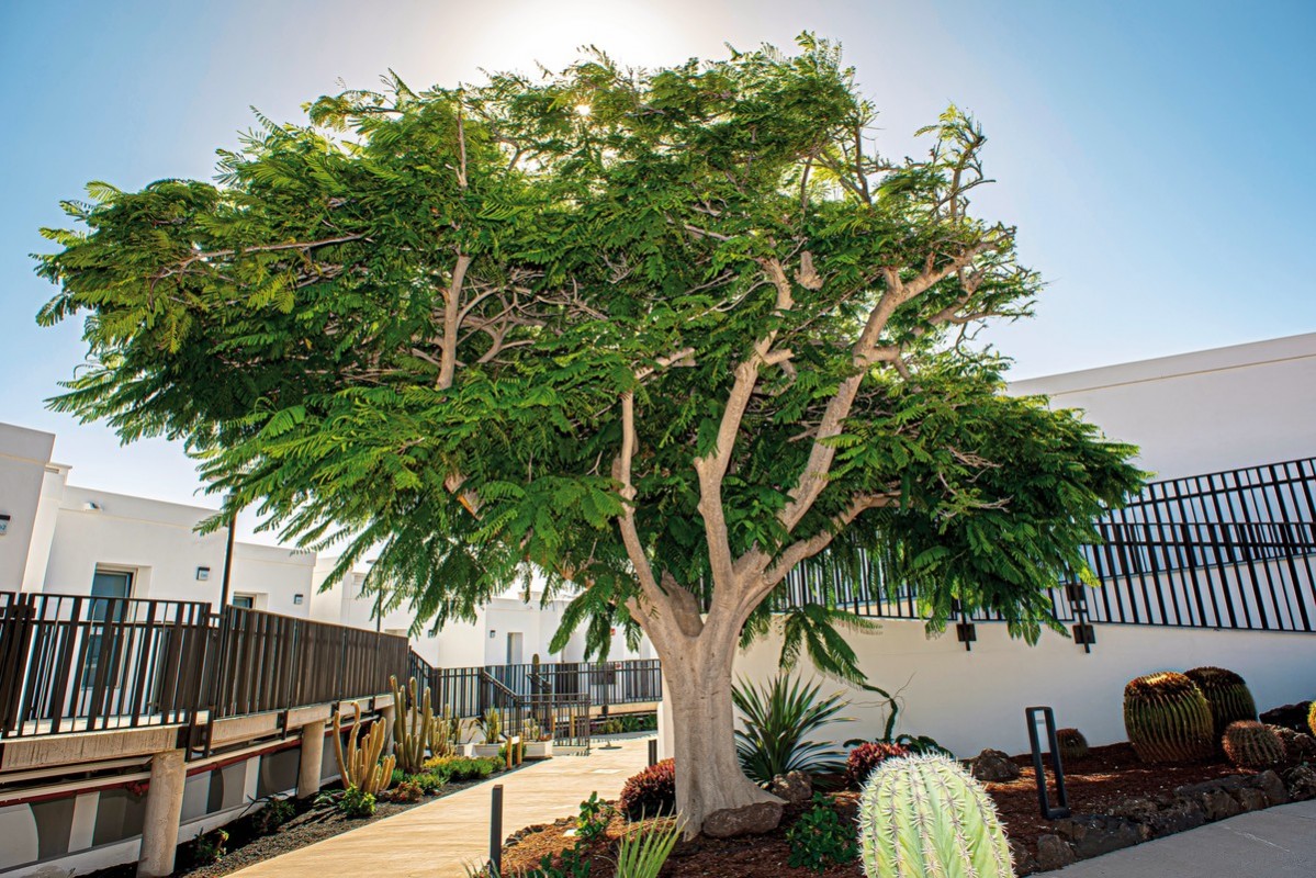 Hotel Taimar, Spanien, Fuerteventura, Costa Calma, Bild 6