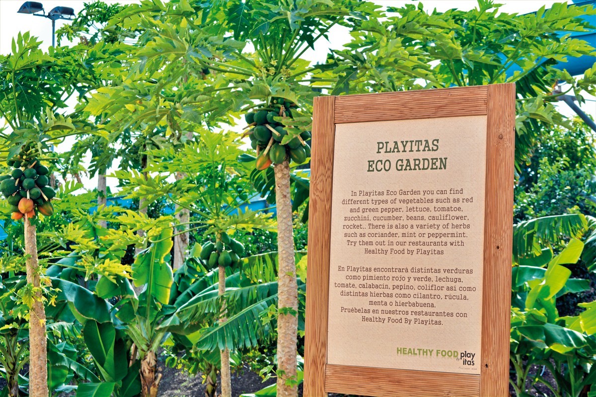 Hotel Playitas Aparthotel, Spanien, Fuerteventura, Las Playitas, Bild 26