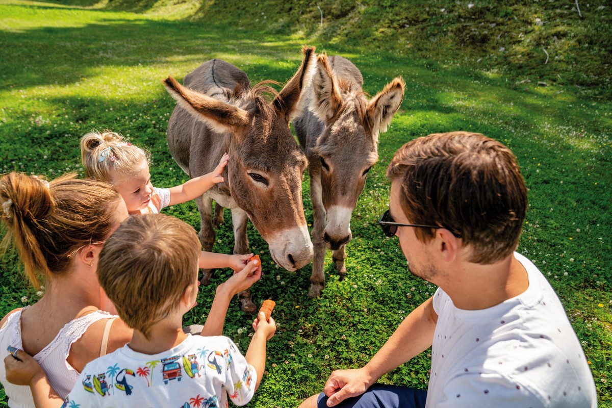 Hotel Almwelt Austria, Österreich, Steiermark, Pichl, Bild 30