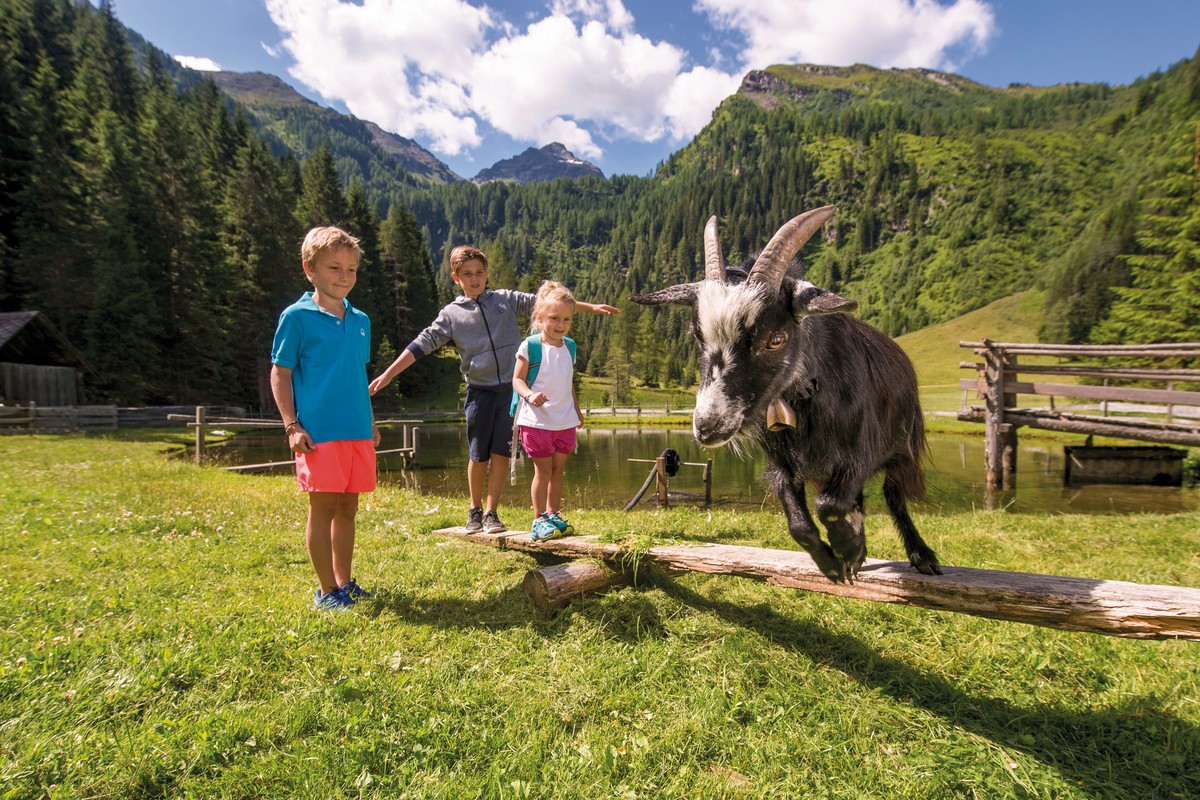 Hotel Natur & Wellnesshotel Höflehner, Österreich, Steiermark, Haus im Ennstal, Bild 27