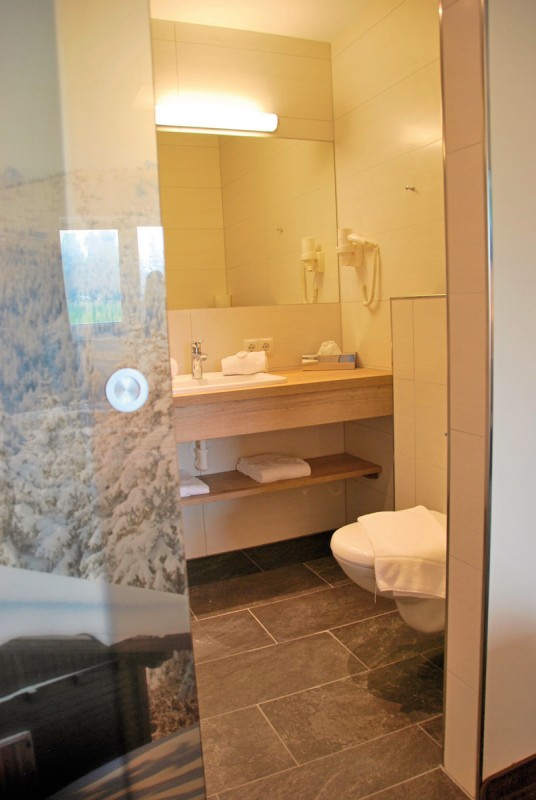 Hotel Restaurant Pariente, Österreich, Steiermark, Rohrmoos, Bild 10