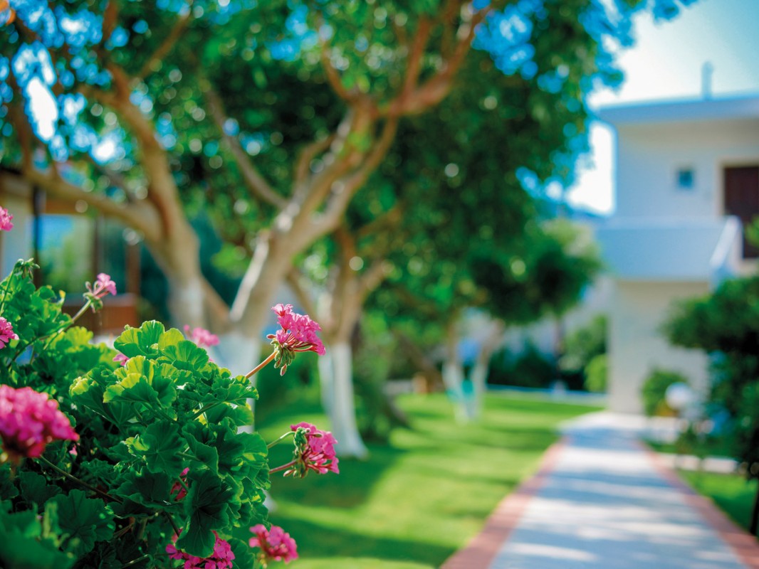 Katrin Hotel & Bungalows, Griechenland, Kreta, Stalis, Bild 6