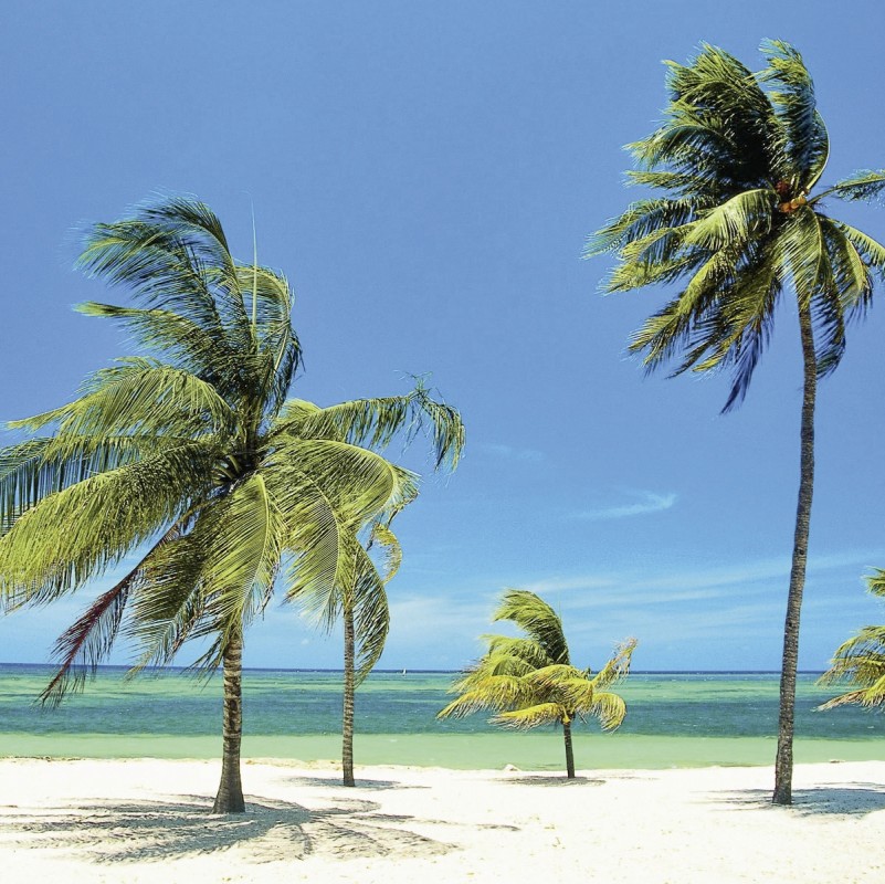 Hotel Playa Pesquero, Kuba, Holguin, Playa Pesquero, Bild 12