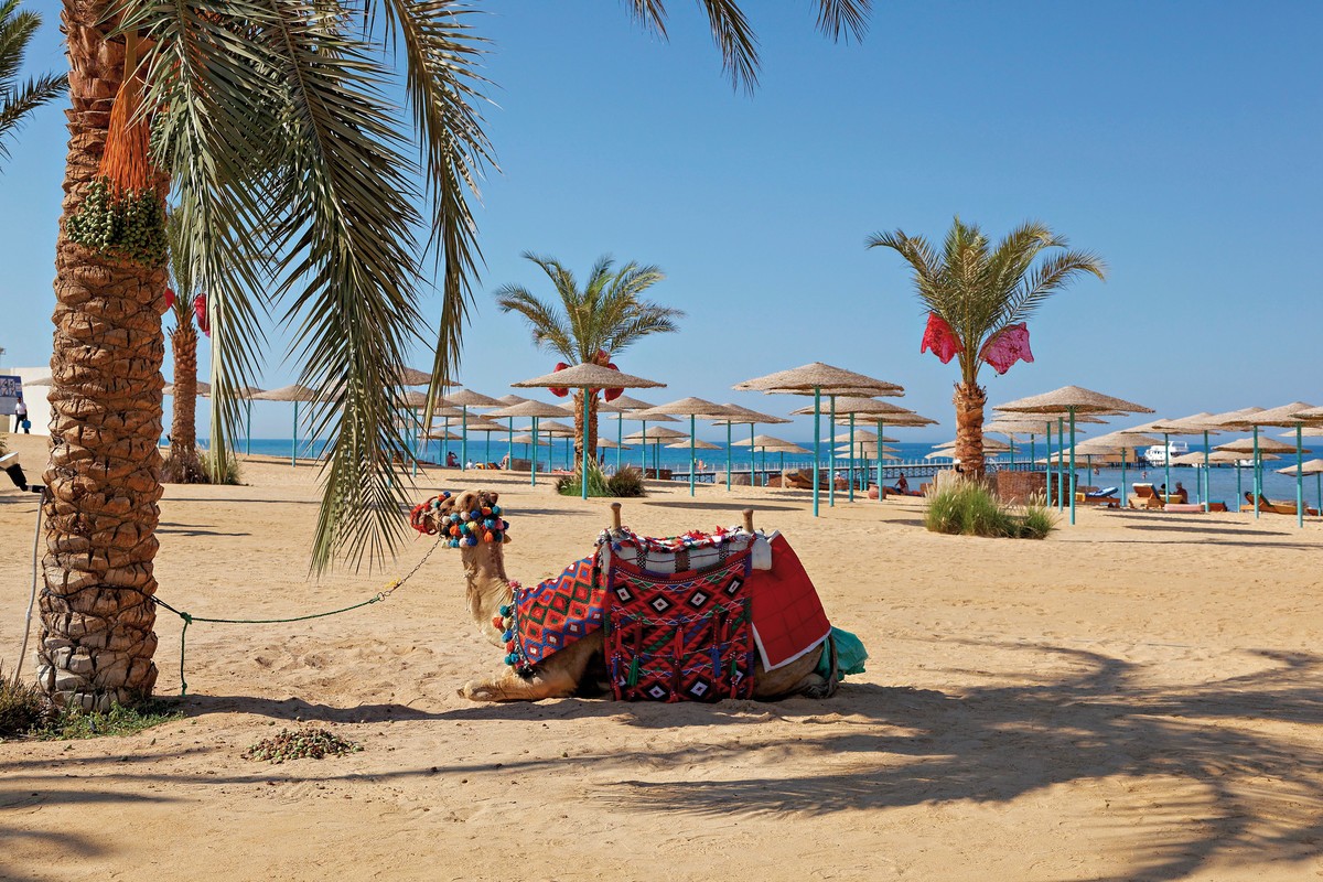 Hotel Three Corners Sunny Beach Resort, Ägypten, Hurghada, Bild 13