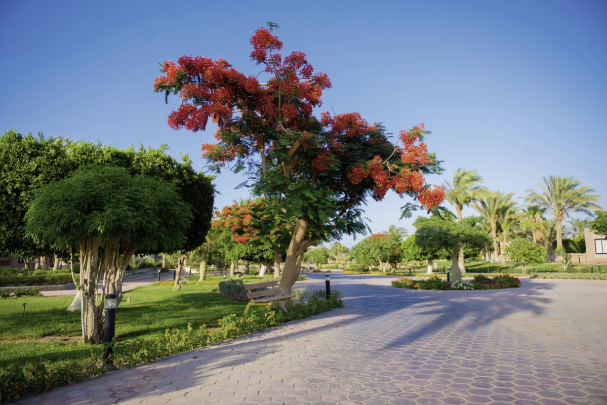 Hotel Pharaoh Azur Resort, Ägypten, Hurghada, Bild 5