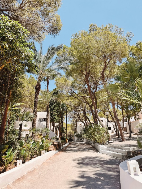 Hotel FERGUS Style Punta Arabi, Spanien, Ibiza, Santa Eulalia del Rio, Bild 6