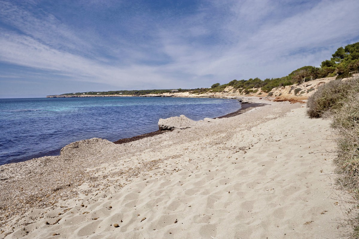 Hotel Paraiso de los Pinos, Spanien, Ibiza, Playa Mitjorn, Bild 5